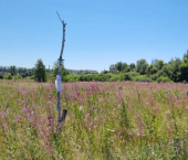 земля 14.5 сот Мурадымовская улица