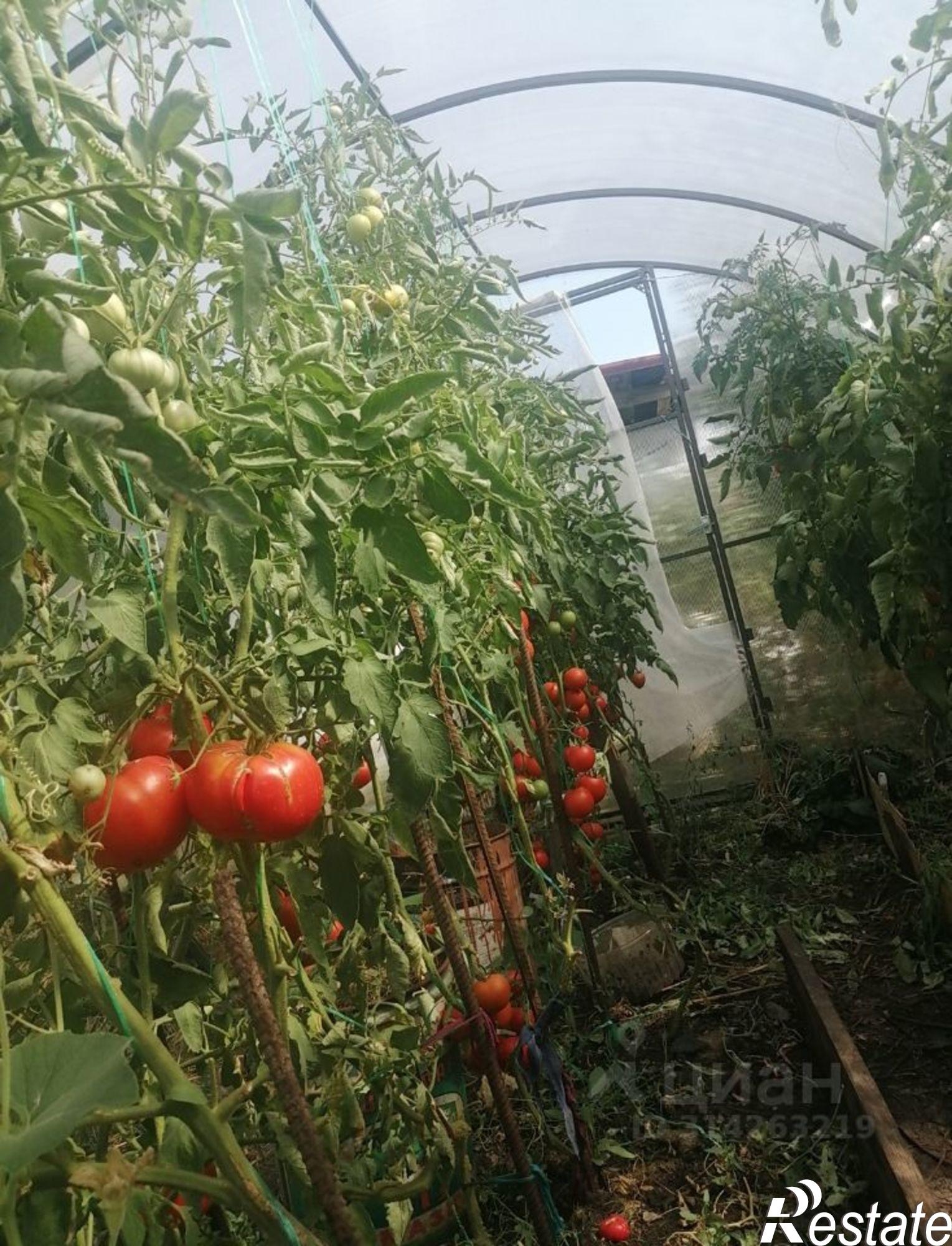 Купить дачу, дом, коттедж за 1 500 000 рублей