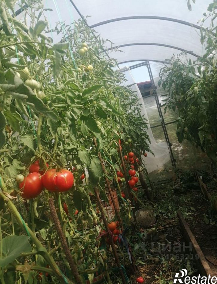 Коттедж/дом